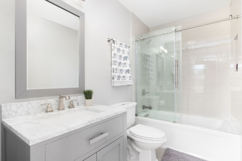 Top Tub To Shower Conversion Companies in Charlottesville, VA