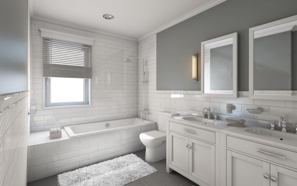 Cost of Restroom Remodeling in Charlottesville